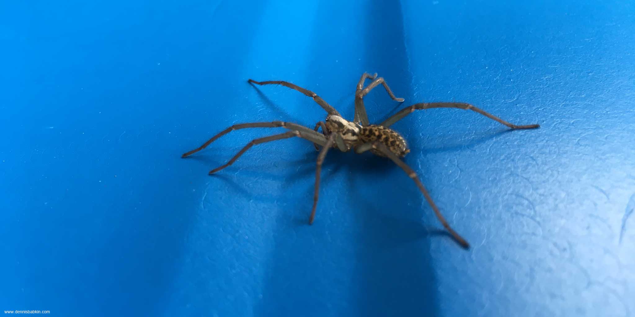 Windows Kernel Stack is a Precious Little Resource - EXCEPTION_DOUBLE_FAULT and the UNEXPECTED_KERNEL_MODE_TRAP (7f) bugcheck.